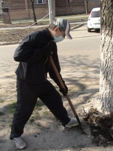 Общегородской субботник